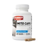 mitocondrias